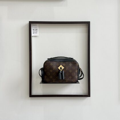 LV Saintonge Camera Bag Monogram Noir GHW