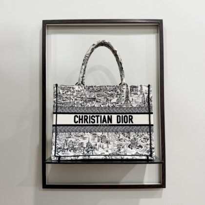 Dior Medium Book Tote Paris Allover Embroidery